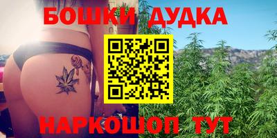 гашик Кизляр