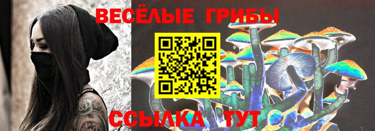 Галлюциногенные грибы MAGIC MUSHROOMS Губкинский