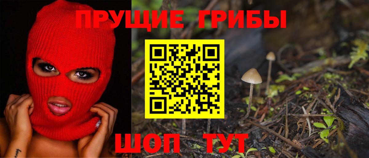 Галлюциногенные грибы Psilocybe  Галлюциногенные грибы мицелий  Губкинский  Вход с VPN 